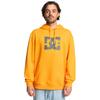 Kapuzensweatshirt DC SHOES "DC Star", Herren, Gr. S, gelb (radiant gelb), 55% gekämmte Baumwolle, 25% Baumwolle, 20% Polyester, Langarm, Sweatshirts