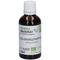 Gemmo Mazerat BIO Sw.pappel 50 ml Tropfen zum Einnehmen