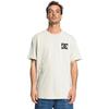 T-Shirt DC SHOES "The Venue", Herren, Gr. L, beige (pelican), 75% Baumwolle, 25% Baumwolle, Kurzarm, Shirts