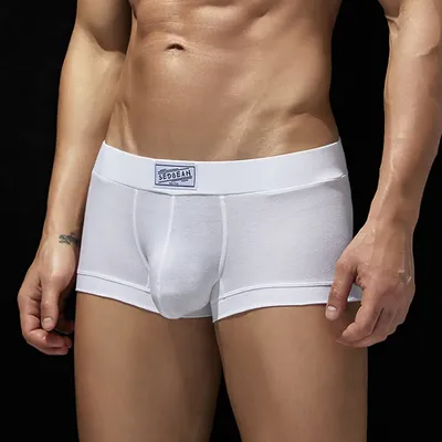 Männer Sexy Unterwäsche Boxer Briefs Atmungsaktivem Low Rise Dessous Hot Stretch Männliche Boxershorts Teenager Unterhose