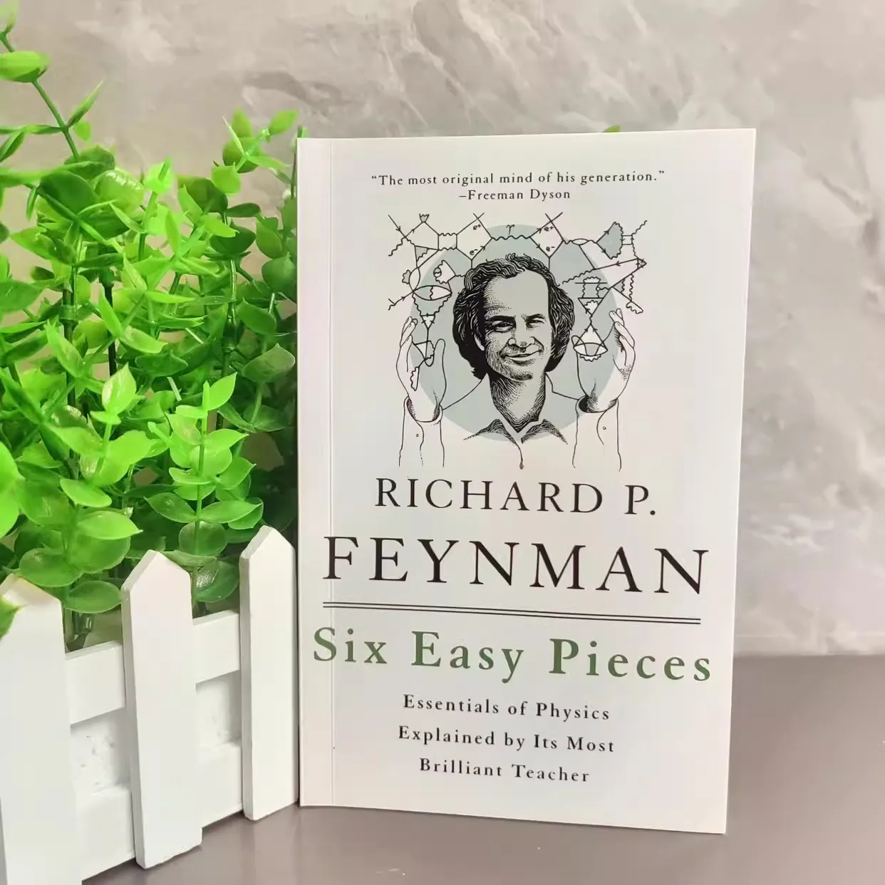 Six Easy Pieces: Feynman Essentials of Physics Explained English Reading Book Image