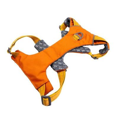 Winchester Comfort-Fit Padded Dog Harness - Hawaiian Sunset - Hawaiian Sunset Small