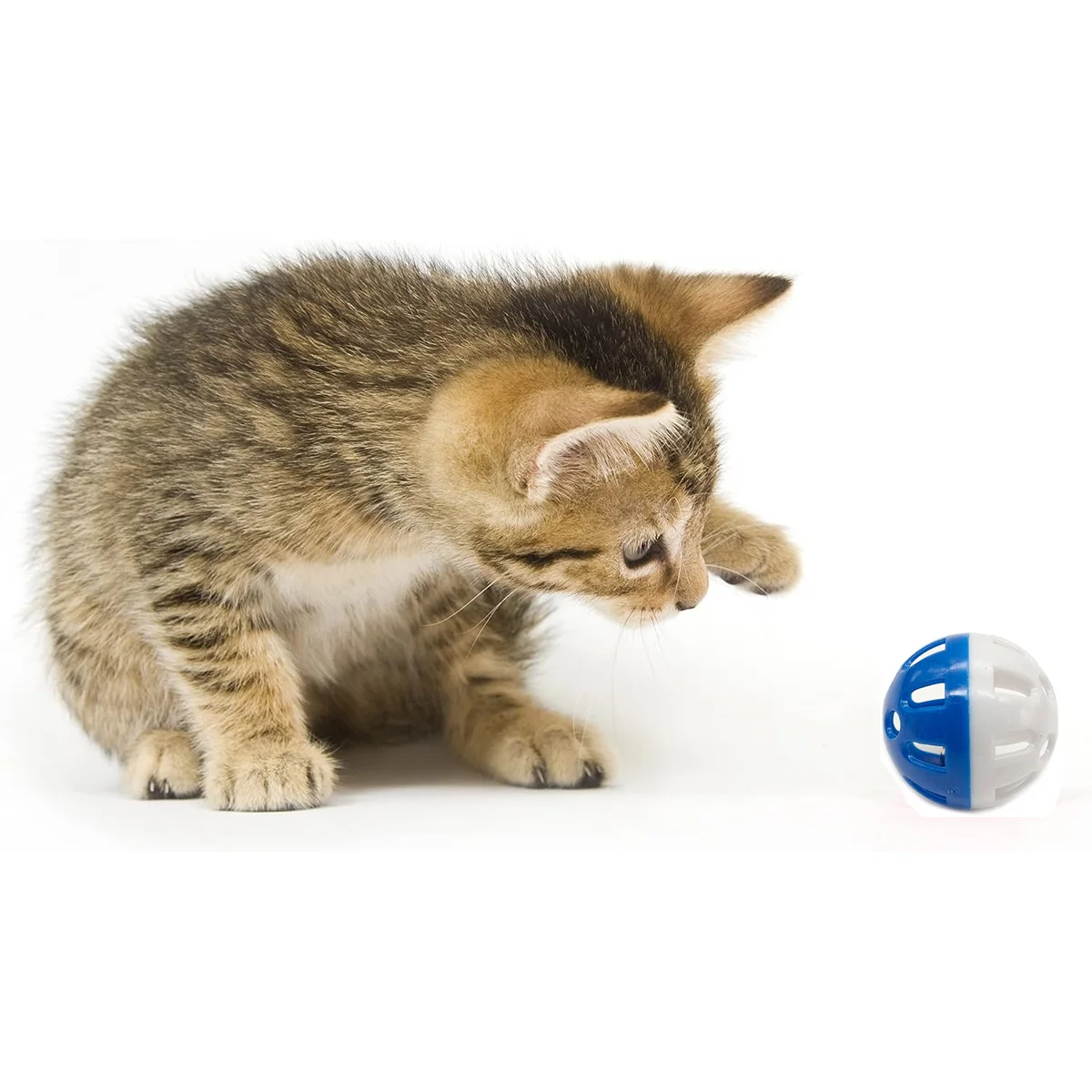 1/12 stücke Pet Interaktive Rolling Ball Hohl Gewebt Uhr Ball Kätzchen Spielzeug Blau Und Weiß Katze Glocke Ball Image