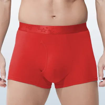 3PC Herrenunterwäsche Bullet Separate Herren Spermatic Vein Modal Herren Boxer Krampfadern Hodensack Halterung Tasche Image