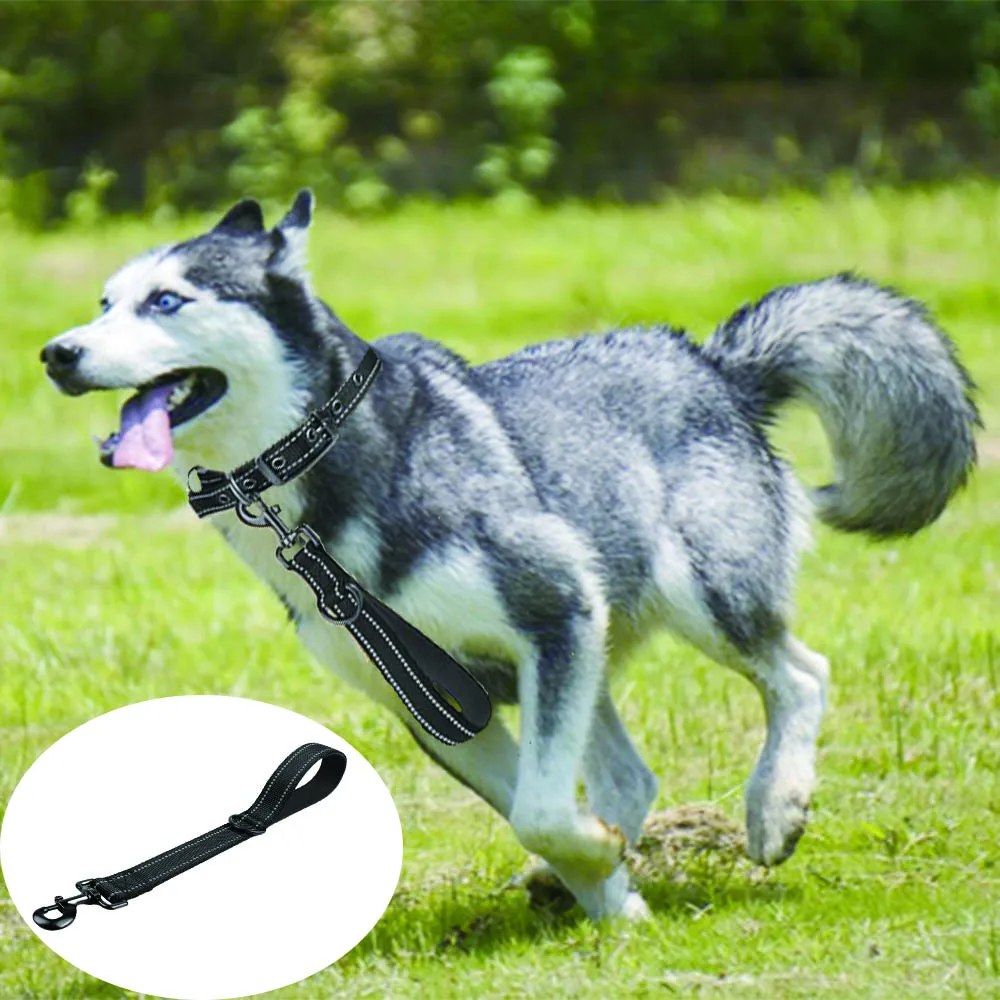 Taglory Kurze Hundeleine, gepolsterter Verkehrsgriff, robuste kurze Nylon-Hundeleine für die Trainingskontrolle, Haustierleine mit reflektierenden Fäden Image