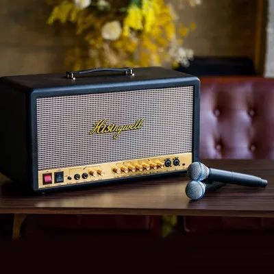 Voxfull MS06 GITARLAUTSPRECHERKASTEN GITAR-COMBO-VERSTÄRKER MIT DRAHTLOSEM MIKROFON UND STÄNDER Image