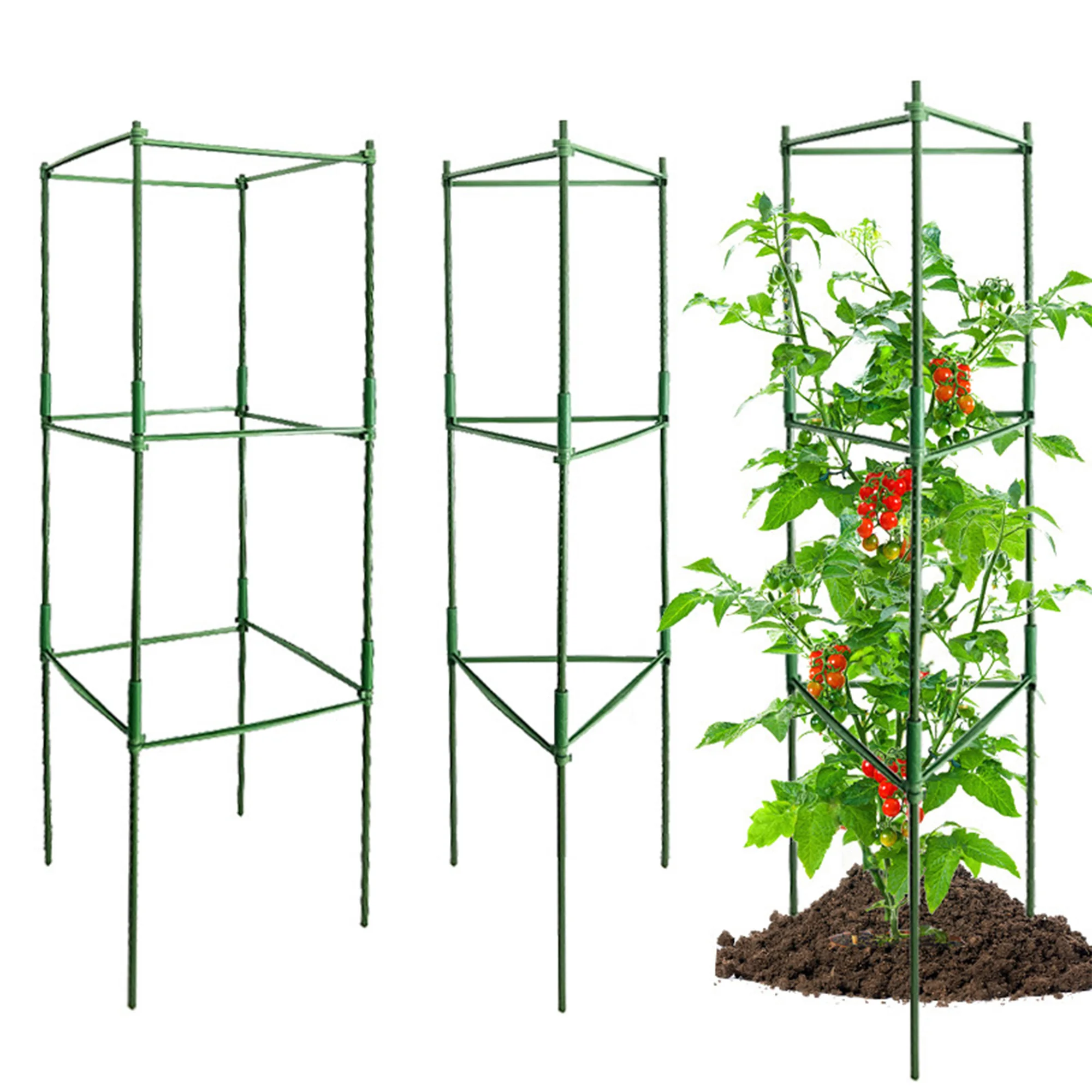 Tomaten gitter, kunststoff beschichtetes Stahlrohr, grünes Klebeband für Garten binden, Pflanzen pfähle für Tomaten käfige zum Klettern von Gemüse Image
