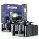 Carshark D1S D2S D3S D4S Faro LED Canbus D5S D8S HID Auto Lampadina 4575 CSP Chip 40000LM 110W D1R
