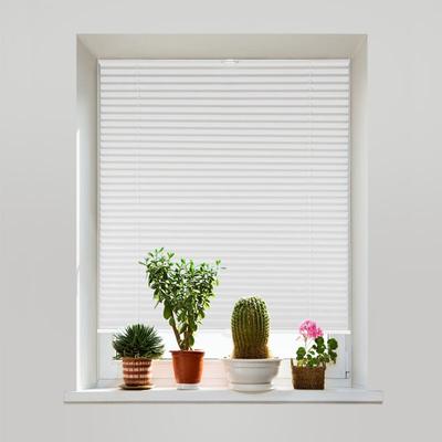 Plissee ohne Bohren Verdunkelung, Fenster Plissee Klemmfix Jalousie, Weiß, 50x120cm - Sekey Image