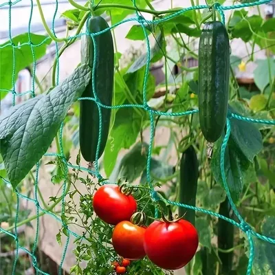 Garden Plant Climbing Net for Tomato Fruits Vegetables Grapes Nylon Trellis Netting Planting