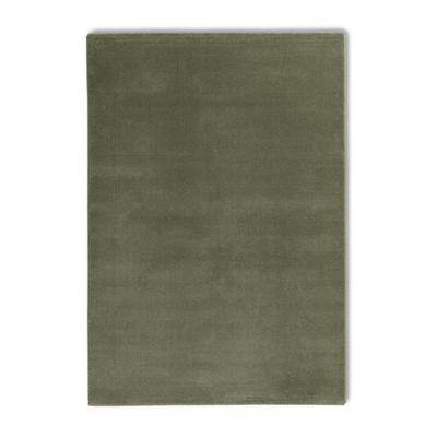 Teppich ASTRA "Barletta 240", grün, B:200cm H:20mm L:290cm, Kunstfaser, Teppiche, Langflor, Shaggy, uni, weich, Wohnzimmer,Schlafzimmer Image