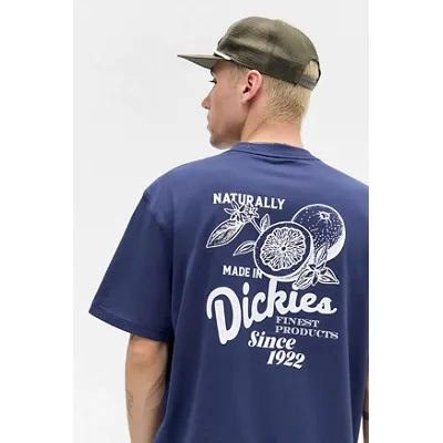 Dickies UO Exclusive Navy Raven T-Shirt - Navy S at Urban Outfitters