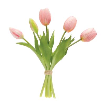 Tulip Floral Bundle (Set of 2) by Melrose in Green Pink