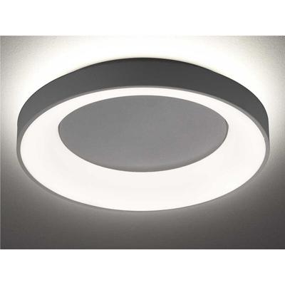 Wofi - Große led Deckenleuchte shay dimmbar in Dunkelgrau ø 59cm Image