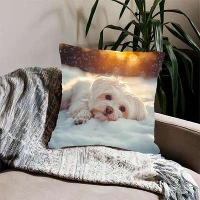 Gemütlicher Herbst-Malteser-Hund-Kissenbezug, quadratisch, für Wohnzimmer, Sofa, Festival, Image