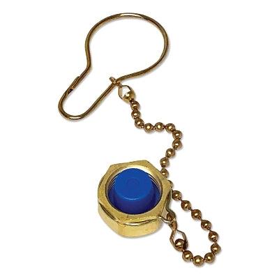 Western Enterprises Manifold One-Piece Dust Cap Assemblies, Cap, Brass, Oxygen, CGA-540, RH (312-DC-540) Box of 10