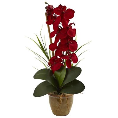 Nearly Natural Phalaenopsis Orchid Silk Arrangement In Ceramic Vase