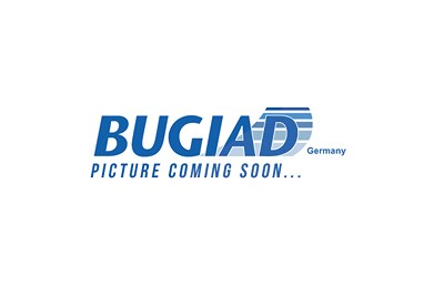 Bugiad Waschwasserdüse, Scheinwerferreinigung [Hersteller-Nr. BHW16560] für BMW Image