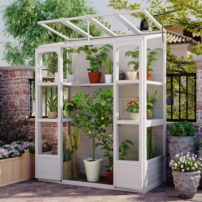 Wooden Greenhouse, Cold Frame with 4 Independent Skylights and 2 Folding Middle Shelves, Walk-in
