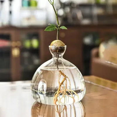 Vases