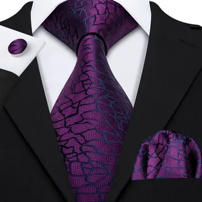 Hi-Tie Extended 160cm Men's Purple Printed Portable Cufflinks Set Fashion Gift Men's Tie Daily Party