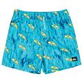 Quiksilver - Kid's Next Gen Volley 14 - Boardshorts Gr 12 Years türkis/blau