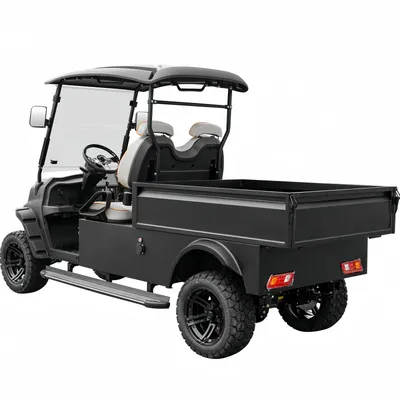 4 wheel electric scooter car golf carts for adults batteries golf cart 2 seater with bucket