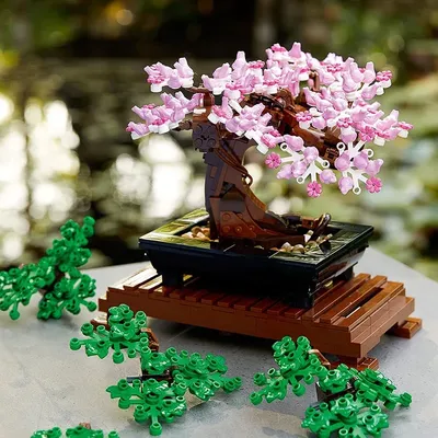 Flowers+Plants