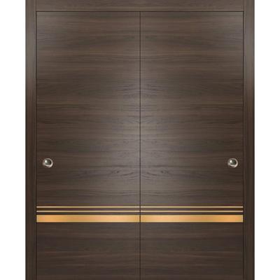 Bypass Doors 36 x 80 Planum 2010 Chocolate Ash with Sturdy Rails