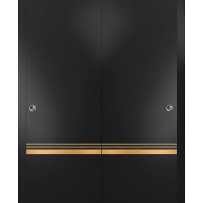 Bypass Doors 36 x 80 Planum 2010 Matte Black with Sturdy Rails