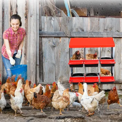 6 / 8 Compartments Chicken Egg Laying Box, Chicken Nesting Box, Chicken Coop Nesting Box, Chicken