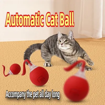 Cat+Supplies