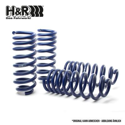 H&R Verstärkungsfedern/Höherlegungsfedern Höherlegungsfedersätze/Lift Springs Fahrwerksatz, Federn für LAND ROVER 28882-1 Image