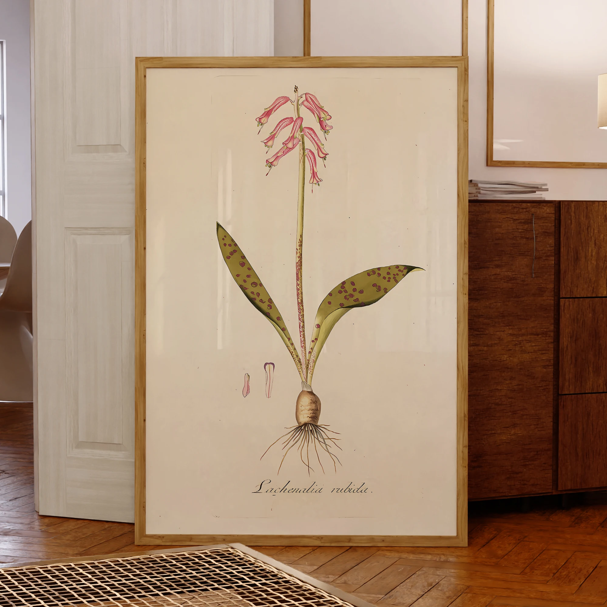 Vintage Anker Spalte Orchidee Wand Kunstdrucke Leinwand Malerei Poster Bild Für Wohnzimmer Wasserdichte Wohnkultur