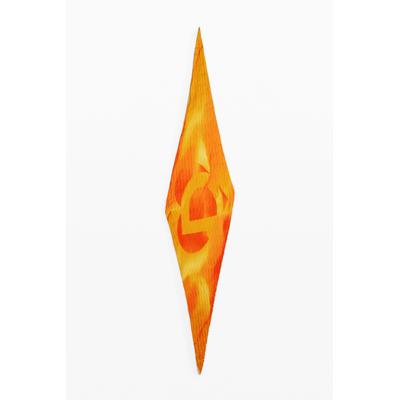 Logo scarf