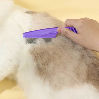 2 Stück Haustier pflege bürste Edelstahl Floh zecken entferner Kamm multifunktion ale Tierhaar Image