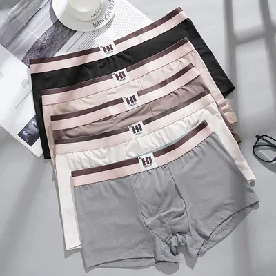 Männer Koreanischen Stil Höschen Intime Unterwäsche Homme Boxer Thermische Shorts Sexy Dessous Unterhose Boxer Briefs Image
