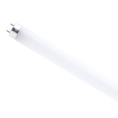 Satco 11/T8/LED/48-850/DR, Each (SATS49937R1)