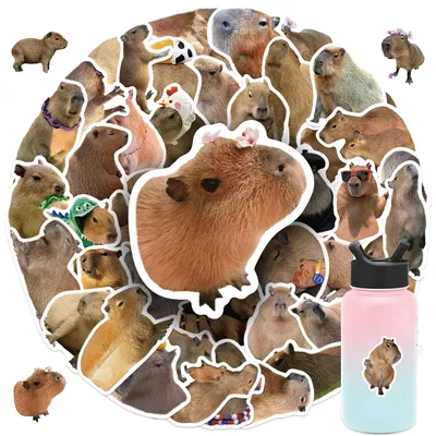 50 Stück Capybara-Tiere-Aufkleber, wasserfest, wiederverwendbar, für DIY-Laptops, Skateboards, Image