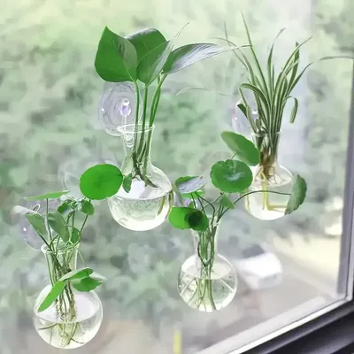 Flowers+Plants