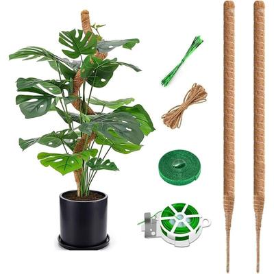 Monstera-Stab, 75 cm Kokosstab, flexibler Moosstab für Monstera mit Zubehör, Kokosfaserstab für Image