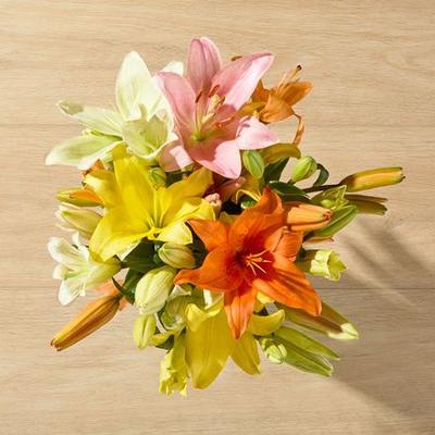 Mother's Day Lilies Bouquet - Grand Shop Flowers - The Bouqs Co.