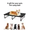 Portable Detachable Pet Camping Bed - Lightweight Travel Cot for Dogs & Cats, Easy Assembly for