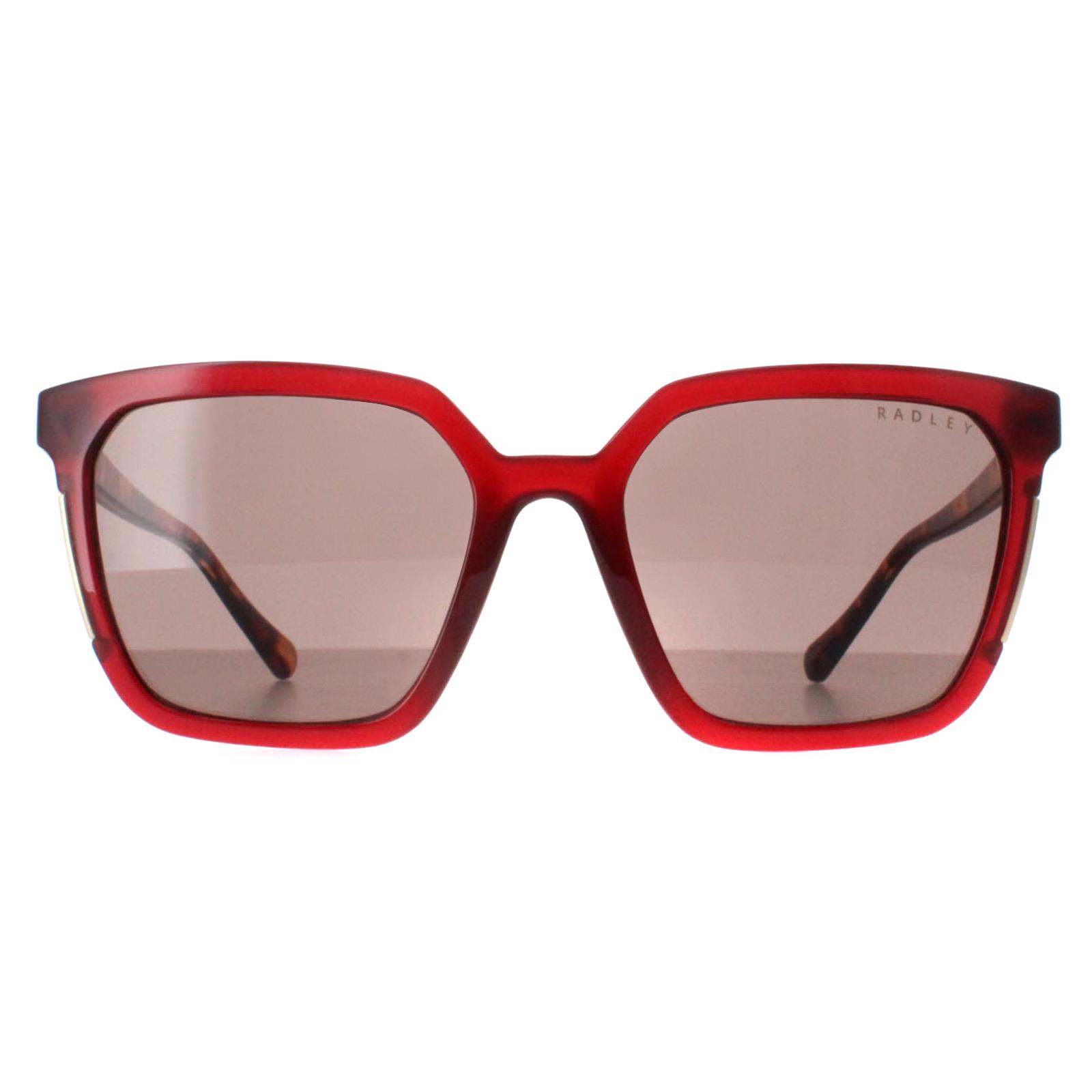 Radley Allington 6506 172A transparente burgundbraune Sonnenbrille Image