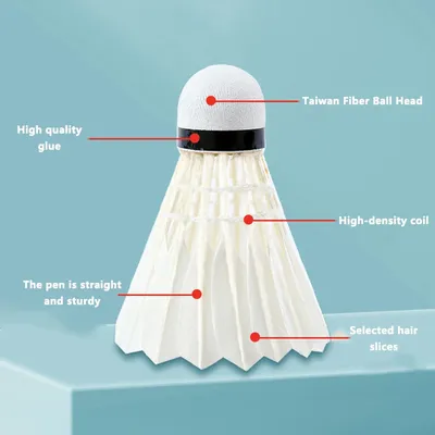 12Pcs Professional Badminton Balls,White Goose Feather Shuttlecock Stable Training Sport Badminton
