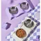 Double Pet Food Bowl Stainless Steel Drinkware Pet Drinking Food Dog Food Puppy Feeding Supplies