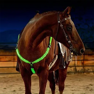 LED Horse Harness Nylon Night Visible Horse Riding Equipment Outdoor Horse Breastplate Dual Racing