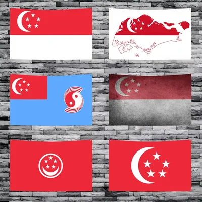 1 Stück Flagge der Republik Singapur Flagge Banner Vierloch Flagge Polyester Outdoor Dekor Image