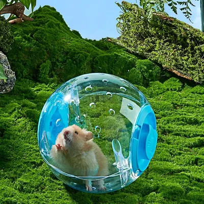 Hamster Exercise Ball Transparent Hamster Running Ball Wheel With Traction Rope For Small Animals