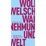 Wahrnehmung und Welt - Wolfgang Welsch